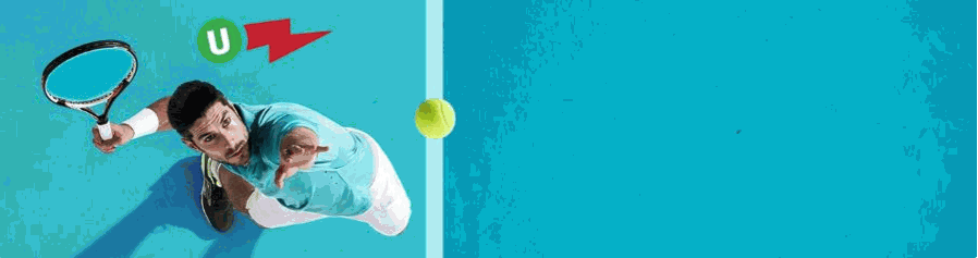 sportweddenschappen sportweddenschappen unibet